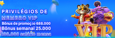 VIP Silver Rewards